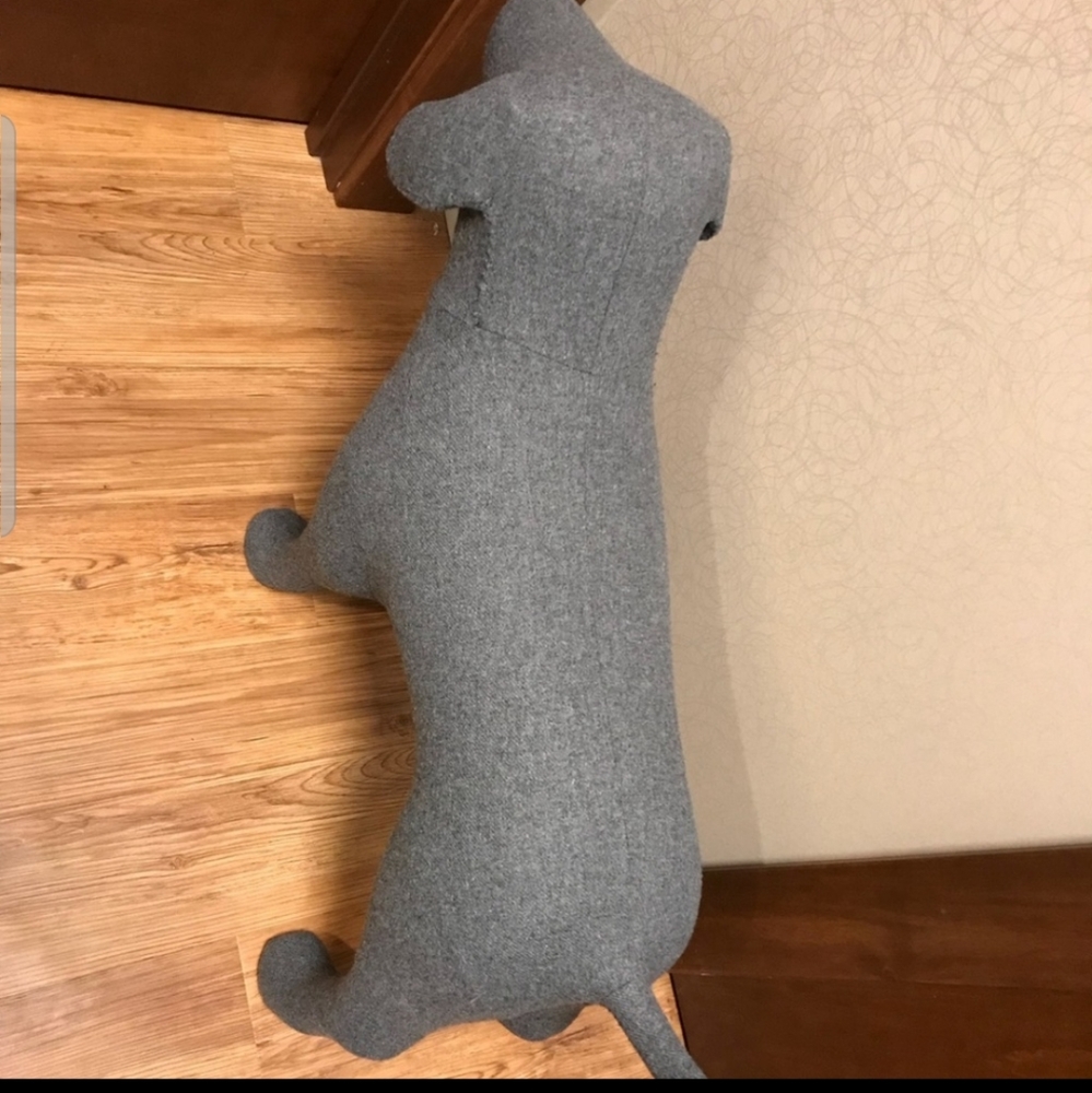 IN SEARCH OF THIS DOG AND DOGS LIKE IT